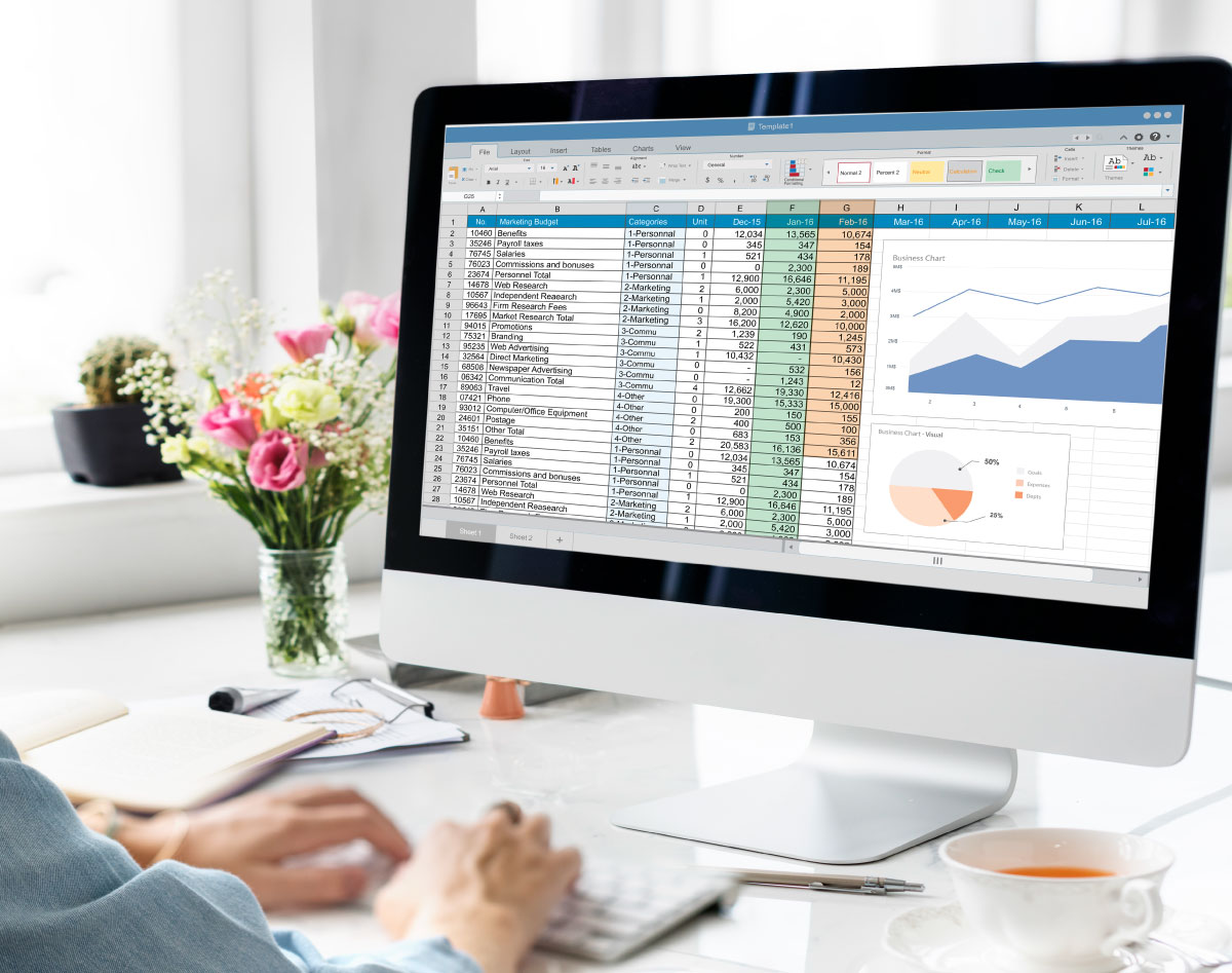 Aplicación de la hoja de cálculo Excel Aplicación de la hoja de cálculo Excel